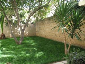 Il Giardinetto img16