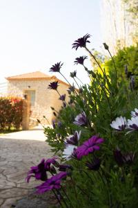 Lithos Stoupa Villas Messinia Greece
