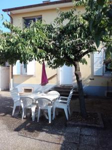 Appartements Appartement avec jardin a Colmar : photos des chambres