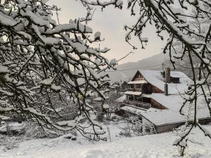 Le Manoir des Sens - Forêt de Bergheim