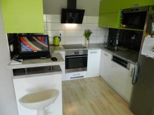 Apartman Green apartm&aacute;n Brno Brno Csehorsz&aacute;g