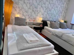 Luxury Apartment In The Center of Prague