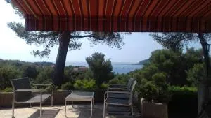 la Pequenita - 阿盖