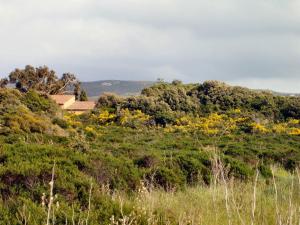 Maisons de vacances La Baraka : Maison de Vacances