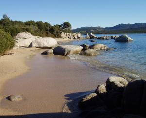 Maisons de vacances La Baraka : photos des chambres