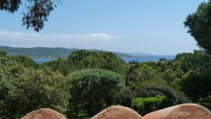 Maisons de vacances La Baraka : photos des chambres