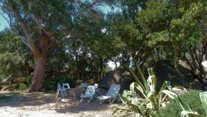 Maisons de vacances La Baraka : photos des chambres