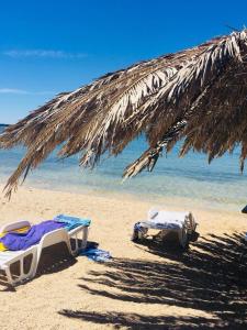 Milutinov Dvor Apartments