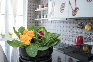 Apartment Travel hub ***