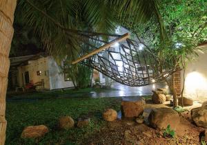 Aura City Hostel