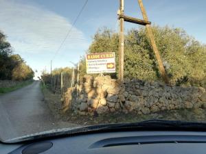 B&B Badde Cubas img51