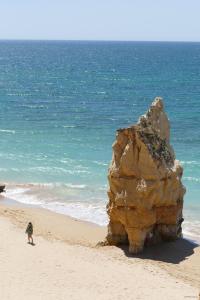 Praia da Rocha, Algarve Sunny Apartment
