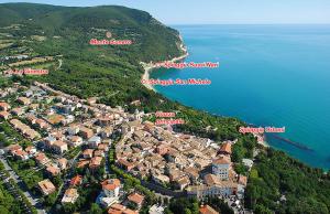 La Ginestra