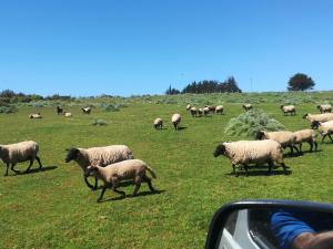 Condominio PLaya Pangal