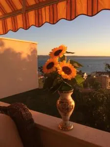 Apartments Rakuljic - Bajnice