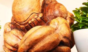 Chez Fanny - appartement de qualité hypercentre Cahors