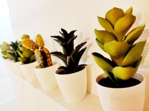 Chez Fanny - appartement de qualité hypercentre Cahors