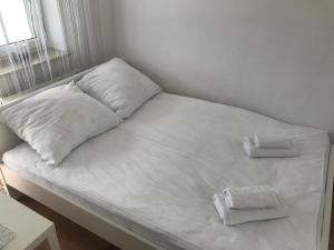Apartament Studio Ryska
