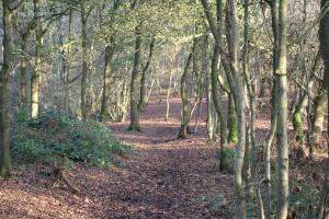 The Old Three Pigeons