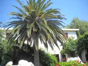 Agriturismo Su Tiresi img20