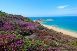 Appartements Phare Ouest Amiraute : photos des chambres