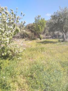 LOUKIA'S HOUSE Thassos Greece