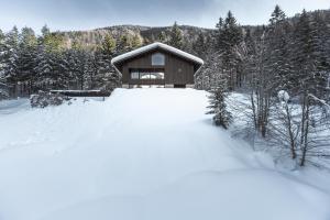 Ferienhaus Luxus Chalet Quellhaus Hinterstoder Österreich