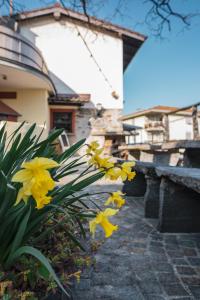 Double Room with Lake View room in Ristorante Canvetto Ticinese con alloggio