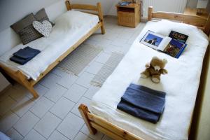 Appartements Gites Estives d'Arrens : photos des chambres