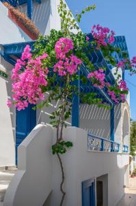 Polemis Studios & Apartments Naxos Greece