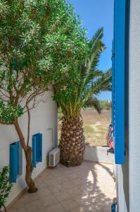 Polemis Studios & Apartments Naxos Greece