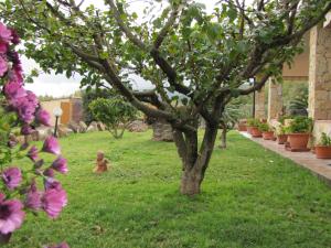 B&B Monte Gruttas img62