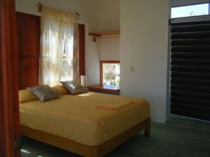 Casa Colibrí Agua Blanca