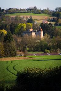 Pension Château de Tanay B&B Trévoux Frankreich