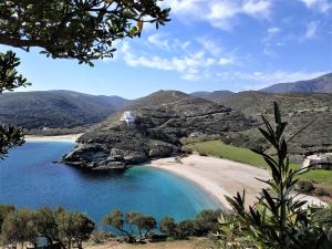 Vitali Beach Houses Andros Greece