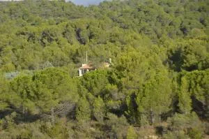 La petite Cigale - 锡兰