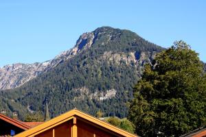 Ferienwohnungen Alpentraum - Volz