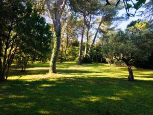 Villas 757 Chemin du Vialat : photos des chambres