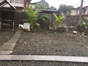 Pines Mansion 2 Homestay for Rent in Cash with 30 percent Advance Payment to Confirm