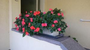 BodenSEE Privatzimmer "Haus am Weinberg Konstanz"