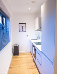 Apartmán Stylish and Clean 1 Bed Apartment Maidenhead Town center Maidenhead Velká Británie