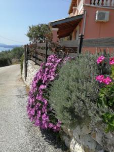 Sunrise View Apartments Corfu Greece