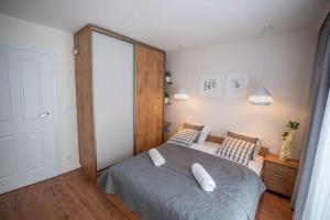 Apartament Kasztanowy blisko centrum - Dream Apart