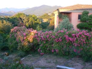 B&B / Chambres d'hotes Chambre d'hote Casa Tozza : photos des chambres