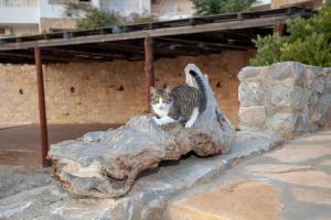 Hill of Calm Rethymno Greece