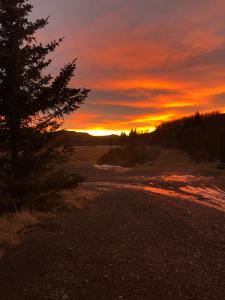 Guesthouse Svartiskógur Egilsstaðir
