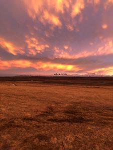 Guesthouse Svartiskógur Egilsstaðir