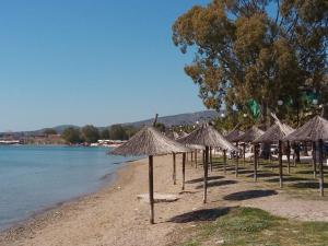 Seaside studio Evia Greece