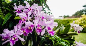 Chalet Villa Alejandra Del Pilar