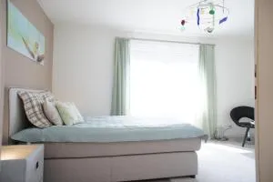 Ferienwohnung Lörrach - 伊兹林根